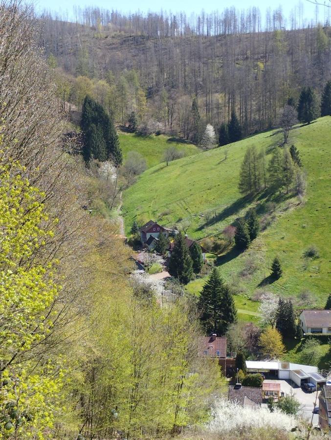 Osterode am Harz Olifant In Osterode 아파트 외부 사진