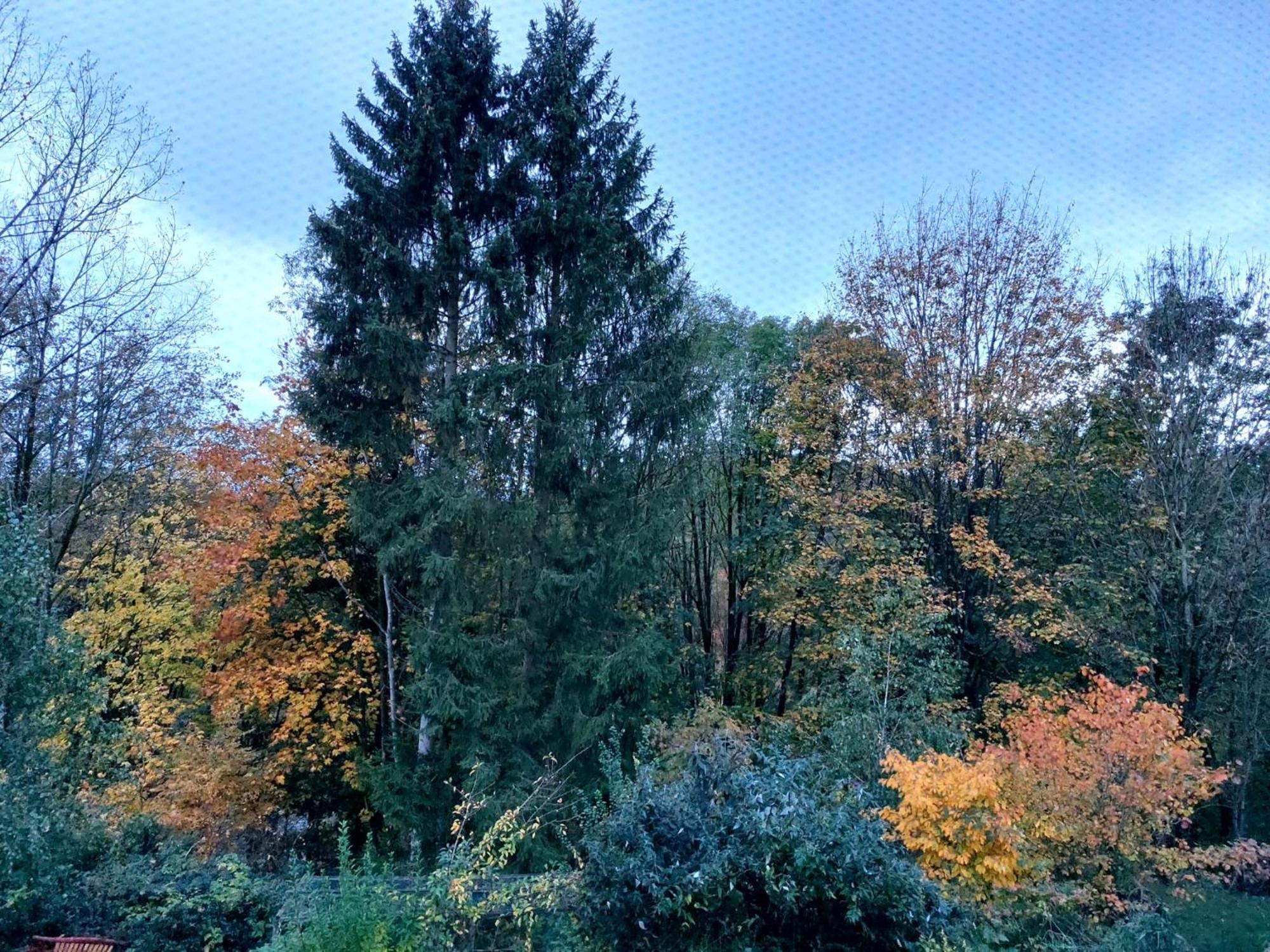Osterode am Harz Olifant In Osterode 아파트 외부 사진