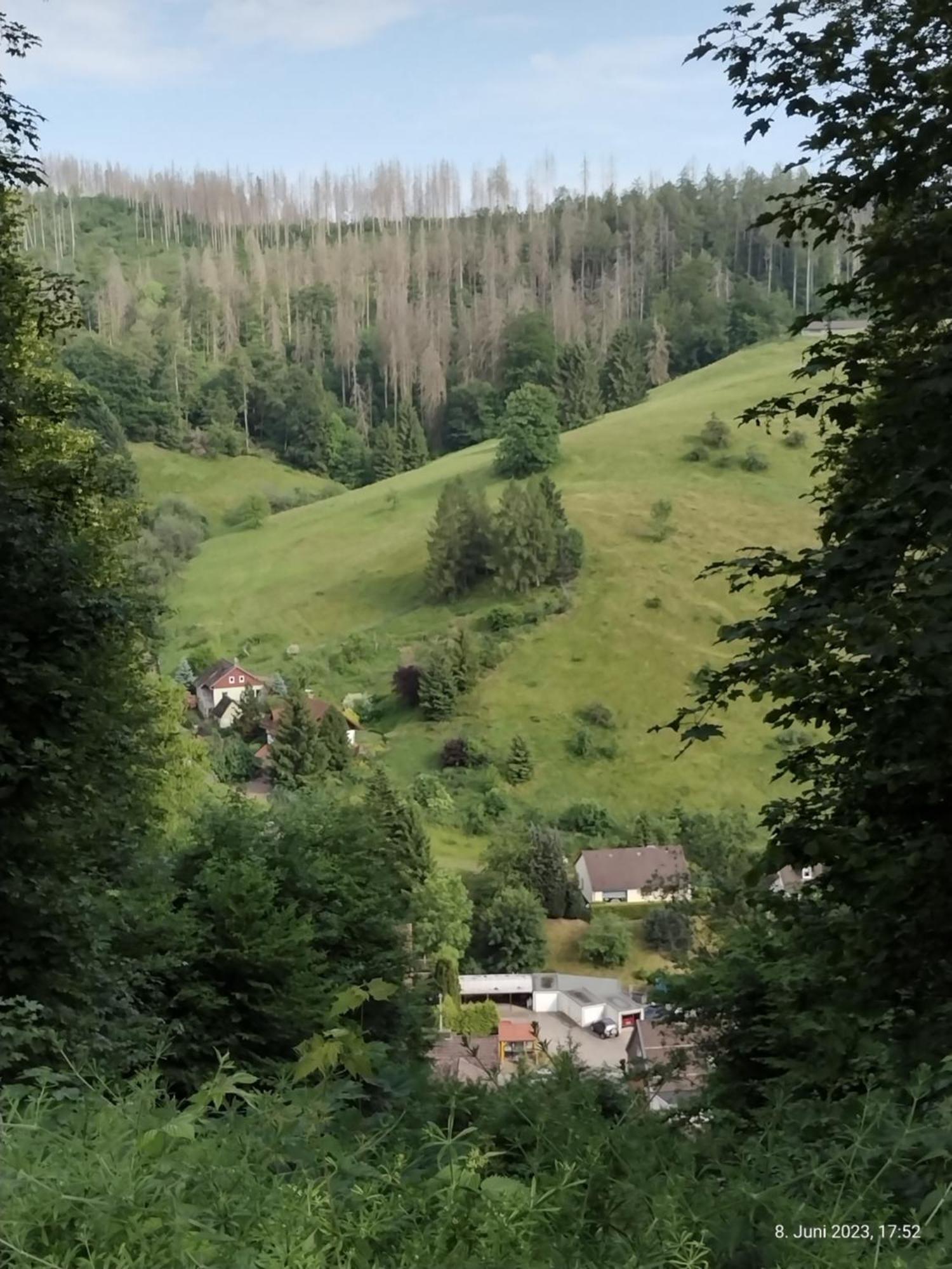 Osterode am Harz Olifant In Osterode 아파트 외부 사진