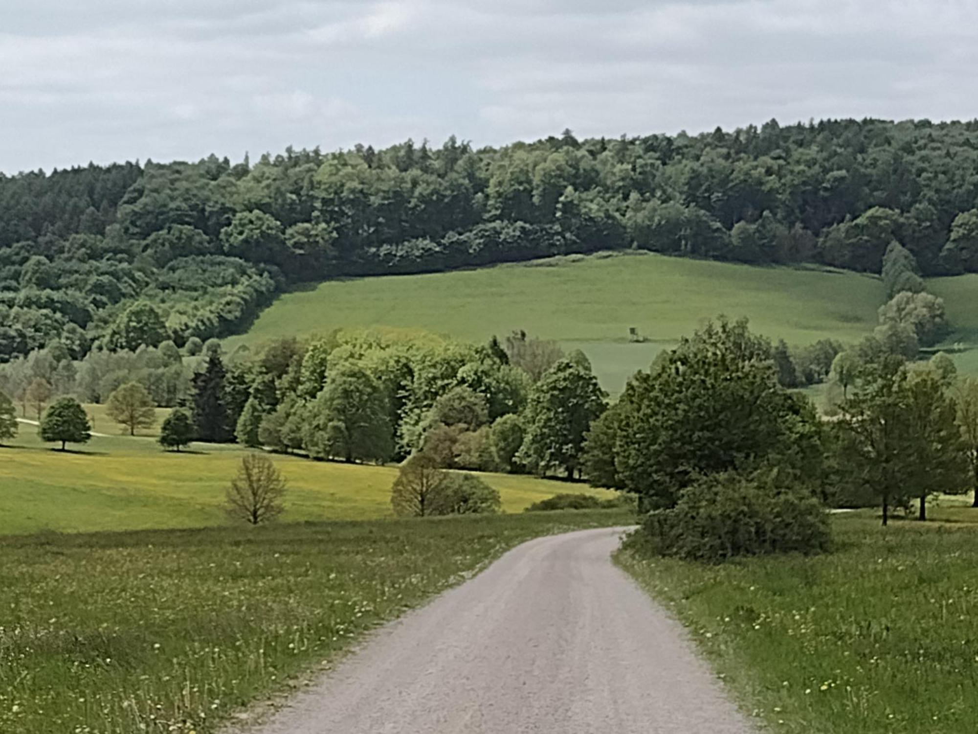Osterode am Harz Olifant In Osterode 아파트 외부 사진